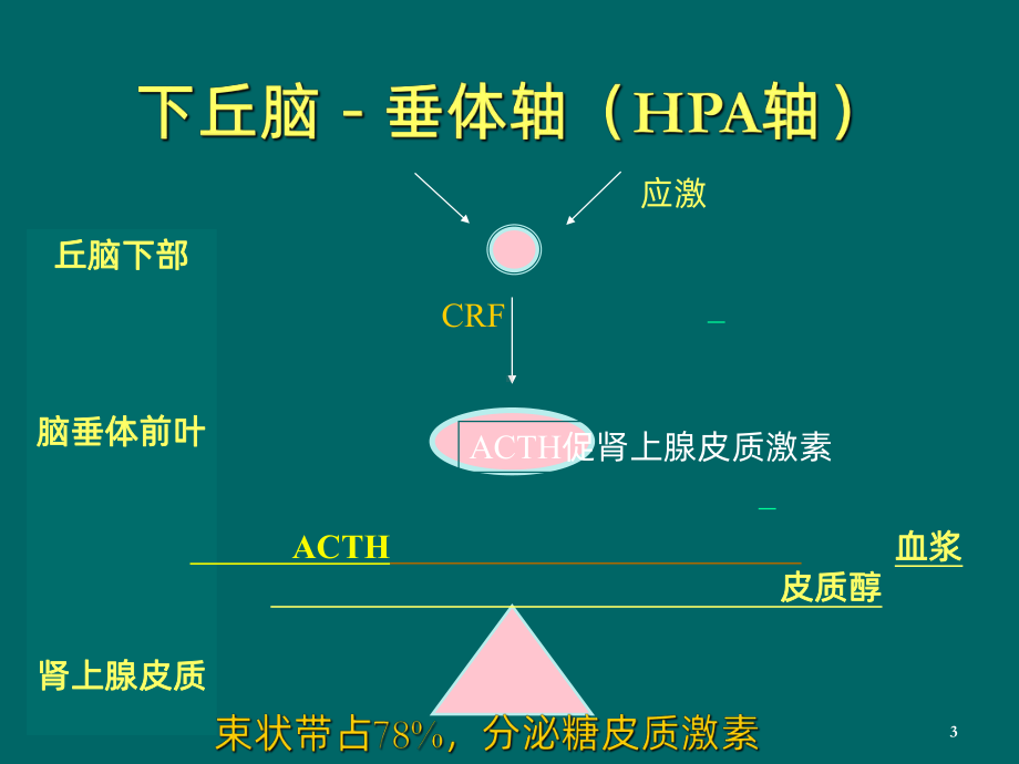 糖皮质激素类药物课件.ppt_第3页