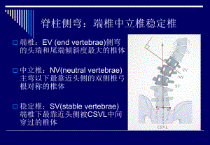 脊柱侧弯基础知识课件整理.ppt