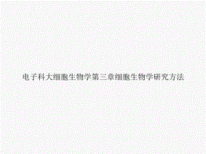 电子科大细胞生物学第三章细胞生物学研究方法课件.ppt