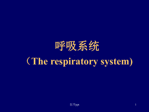 病理学呼吸系统精美课件附大量.ppt