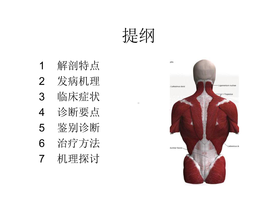 电针排刺配合走罐治疗腰背肌结膜炎课件.ppt_第2页