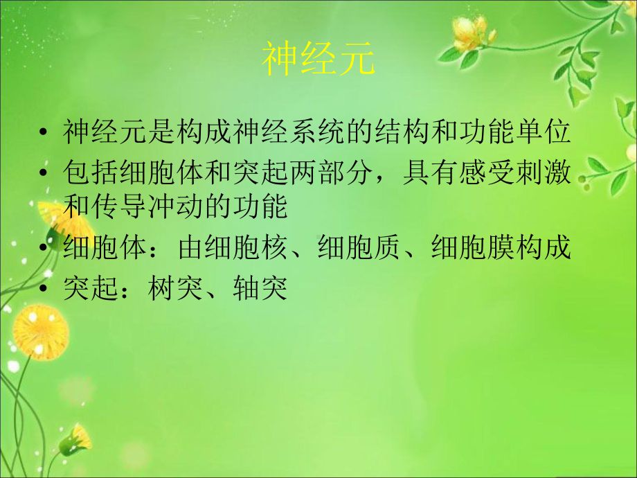 神经系统解剖与生理修改课件.ppt_第2页