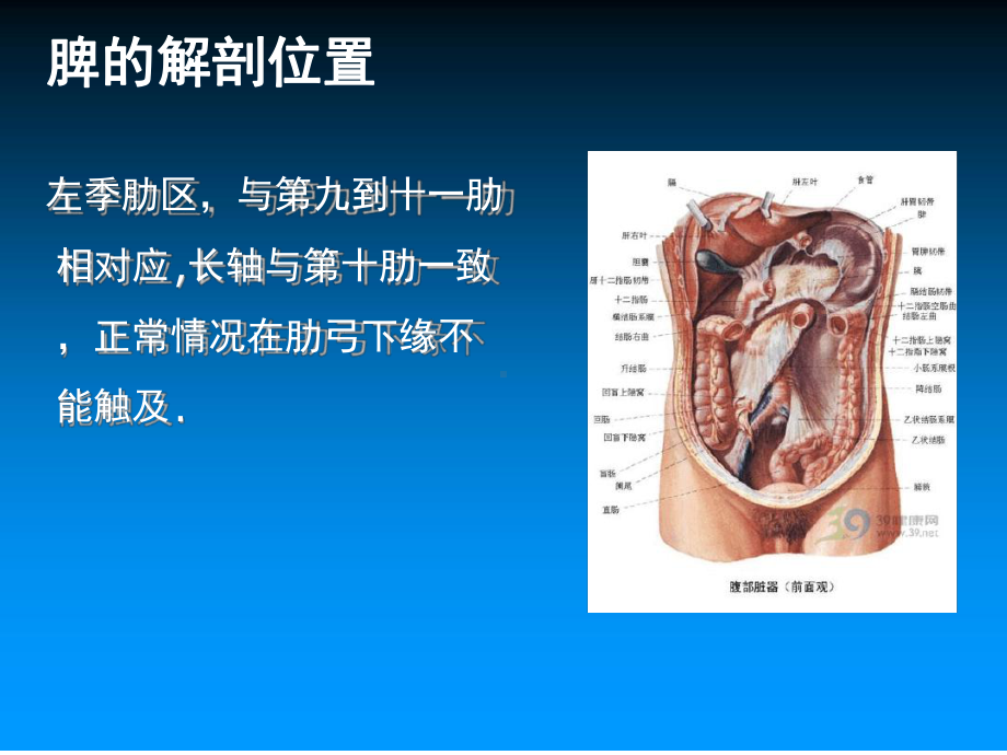 管理资料脾破裂的护理汇编课件.ppt_第3页