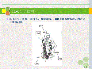 白细胞介素的在儿科应用的临床意义优质推荐课件.pptx