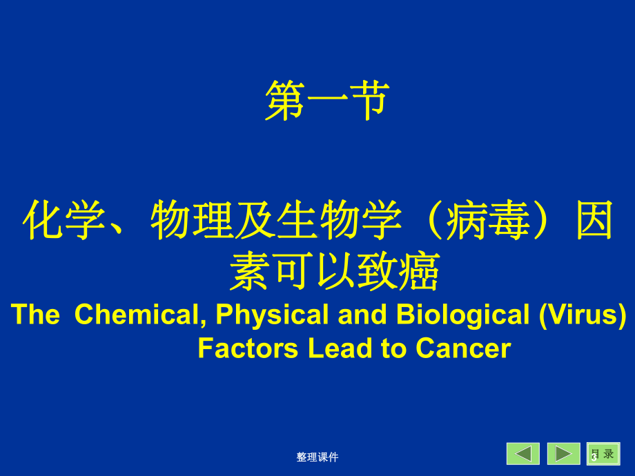 肿瘤的分子基础课件.ppt_第3页