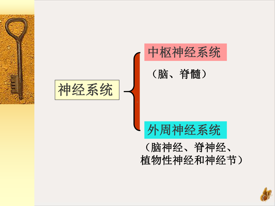 神经系统生化课件.pptx_第1页