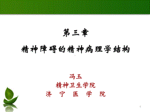 精神病理学范例课件.ppt