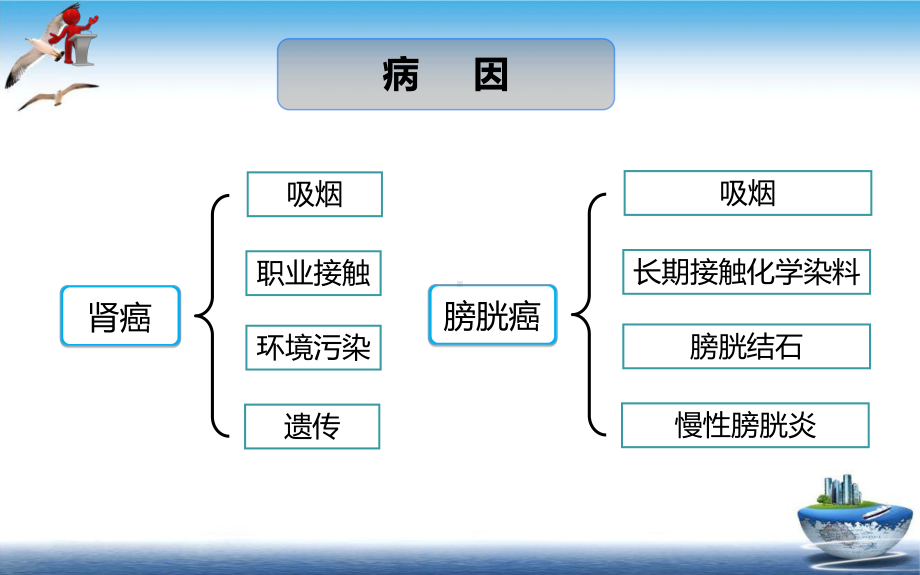 第十九章第五节泌尿系统肿瘤病人的护理课件.ppt_第3页