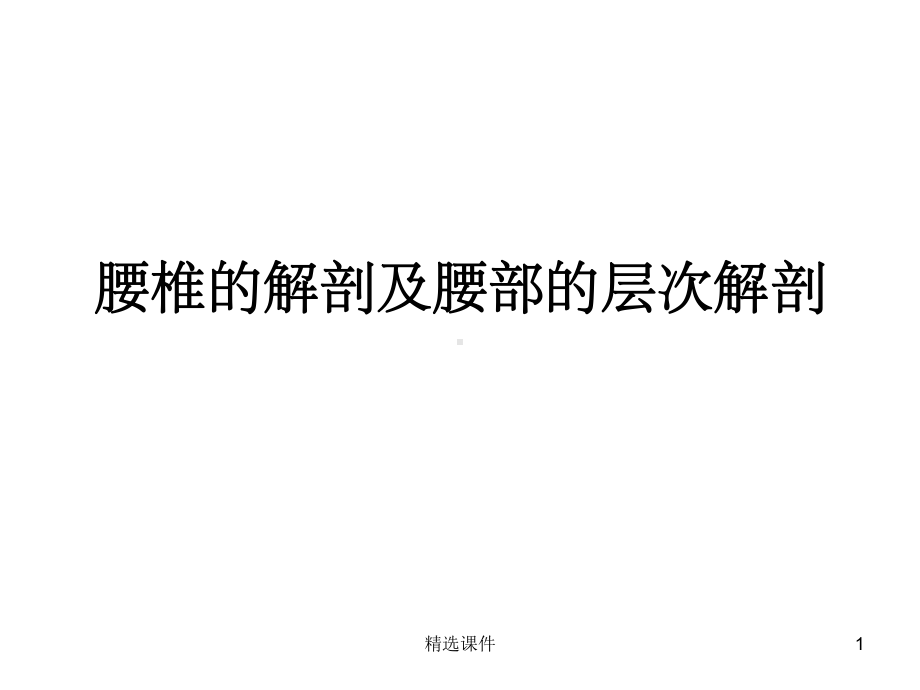 腰椎的解剖及腰部的层次解剖课件(同名1289).ppt_第1页