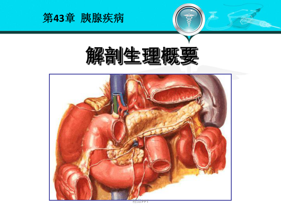 第八版外科学-胰腺疾病课件.ppt_第3页