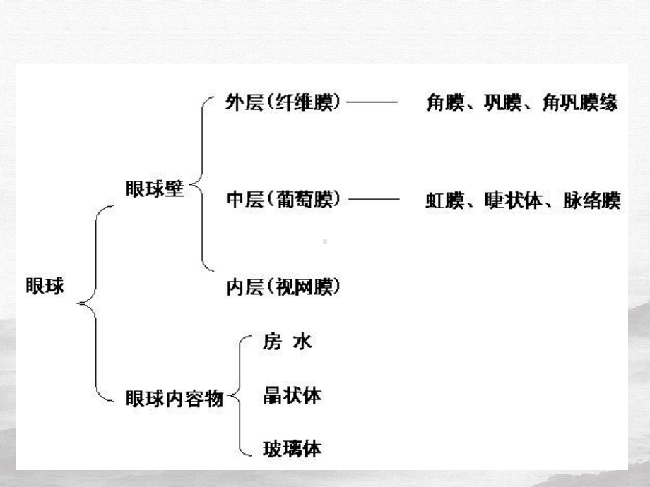 眼科常见病的诊断和治疗课件.pptx_第3页