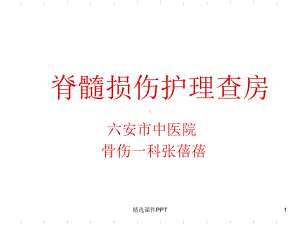 脊髓损伤的护理查房课件整理.ppt