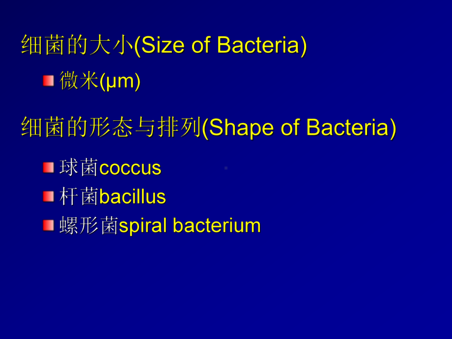 细菌形态与结构医学微生物学教学课件.ppt_第2页