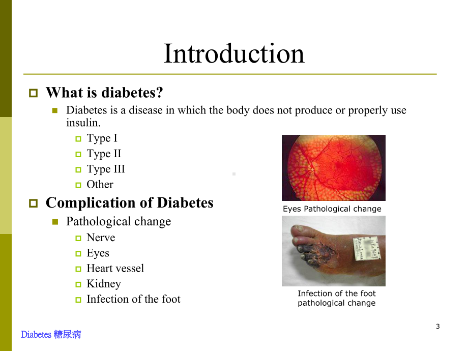 病理组血管宽度课件.ppt_第3页