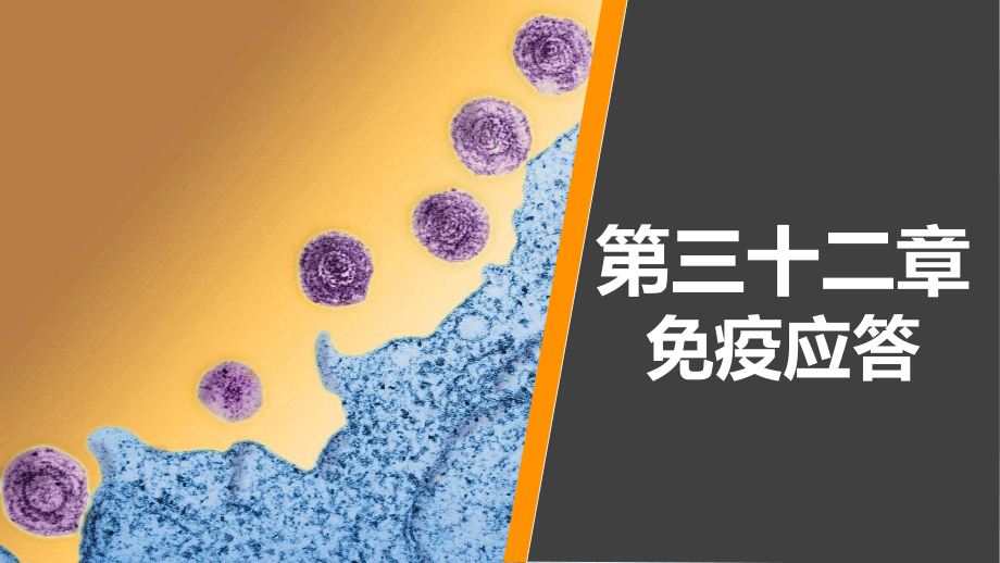 病原生物学与免疫学-第三十二章课件.ppt_第1页