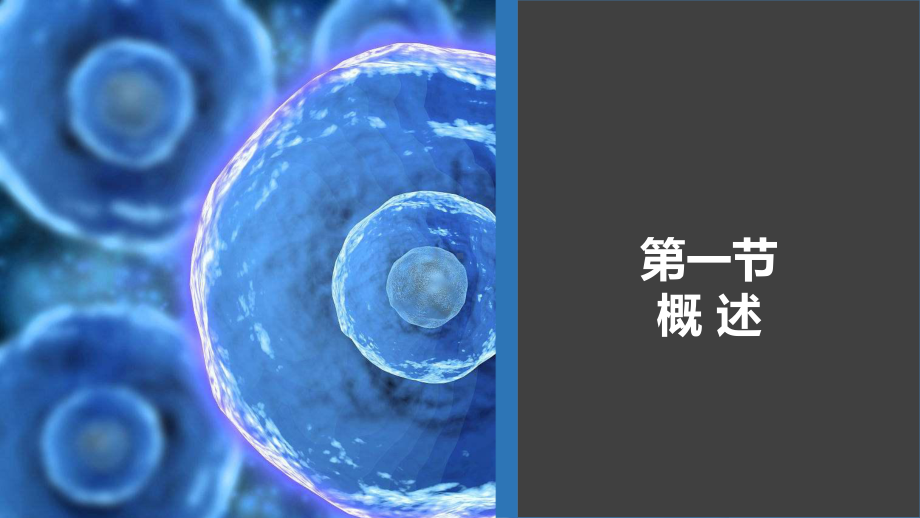 病原生物学与免疫学-第三十二章课件.ppt_第2页