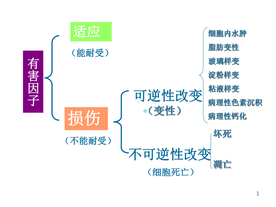 病理学损伤变性坏死课件.ppt_第1页