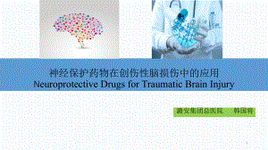 神经保护药物在创伤性脑损伤中的应用课件.ppt