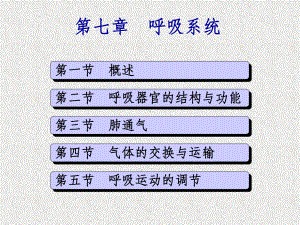 解剖生理学基础呼吸系统课件.ppt