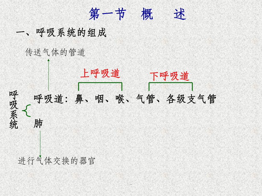 解剖生理学基础呼吸系统课件.ppt_第2页