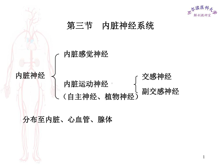 第三节内脏神经系统课件.ppt_第1页