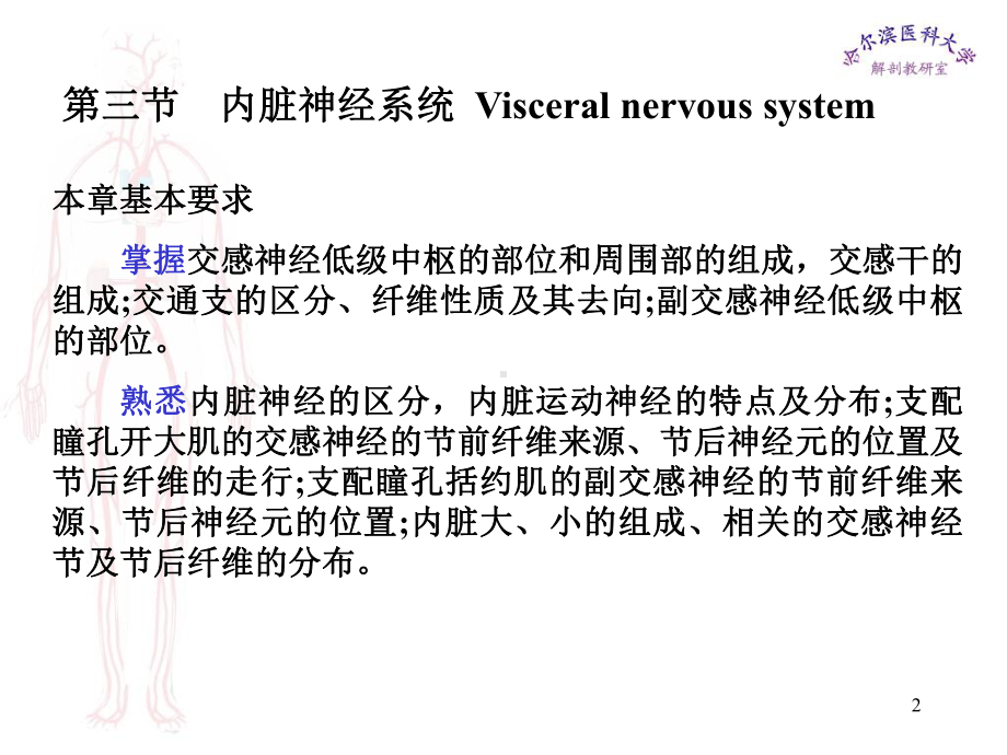 第三节内脏神经系统课件.ppt_第2页