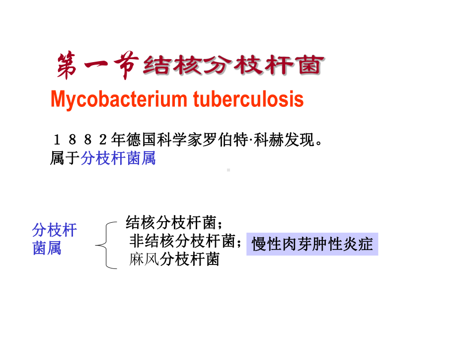 病原课件第十一章-呼吸道感染细菌.ppt_第2页