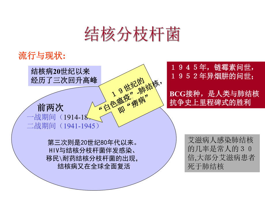 病原课件第十一章-呼吸道感染细菌.ppt_第3页