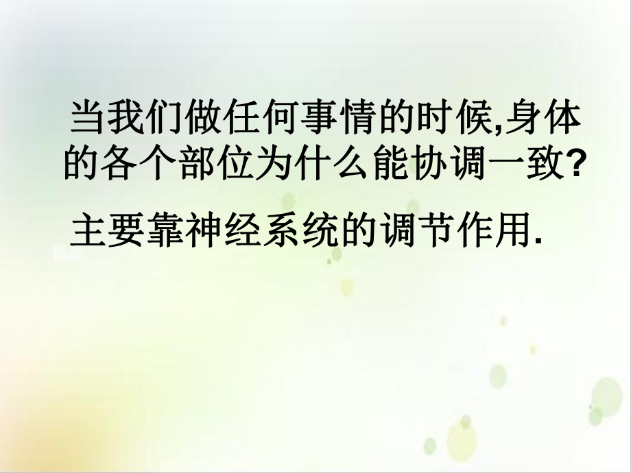 神经系统的组成公开课课件示范课件.ppt_第3页