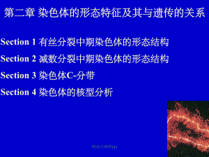 第一章染色体的形态结构课件.ppt