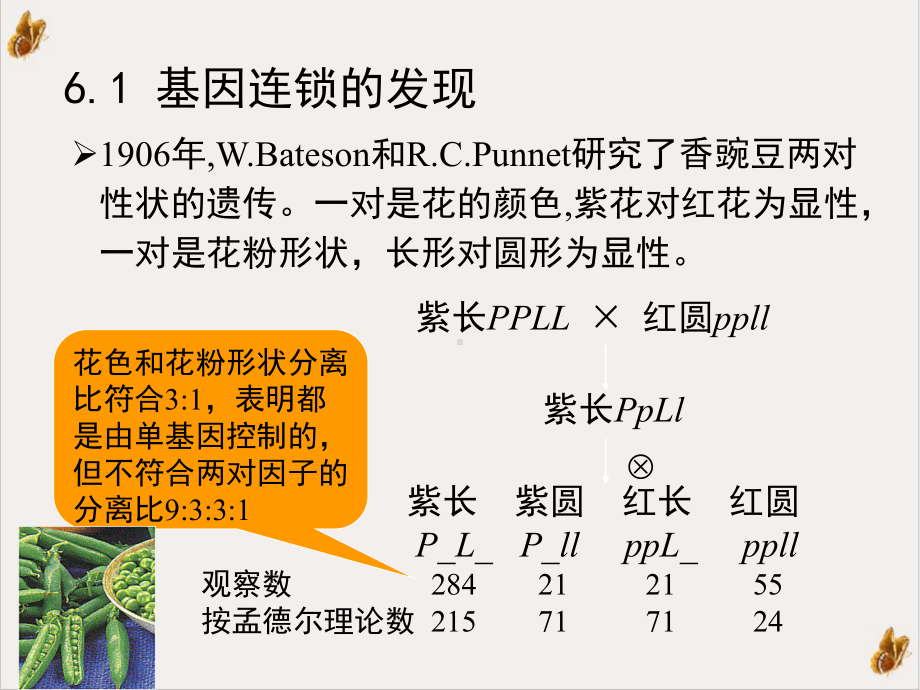 第六章染色体和连锁群优质课件.ppt_第3页