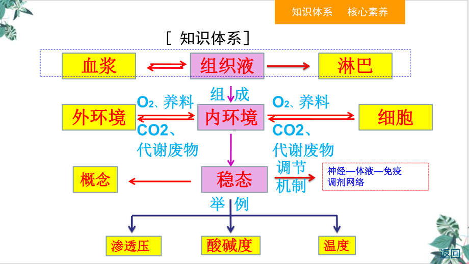 第通过神经系统的调节课件高考生物一轮复习.ppt_第3页