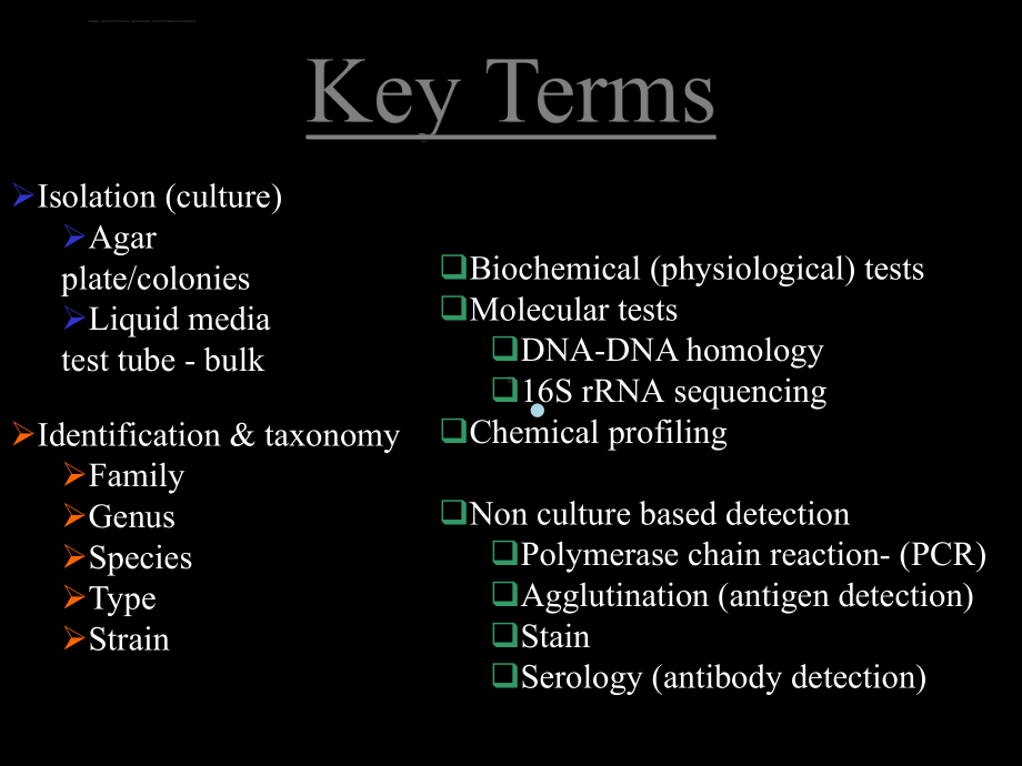 细菌分类-课件.ppt_第2页