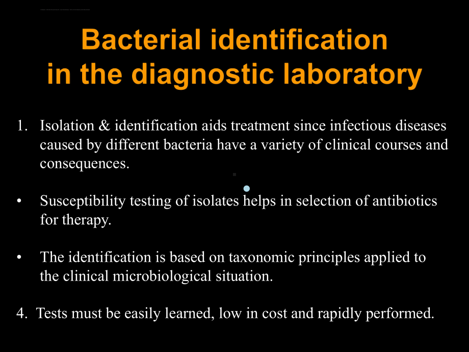 细菌分类-课件.ppt_第3页