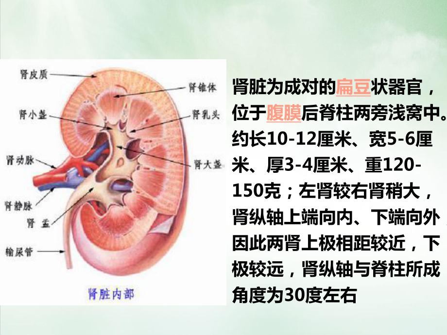 营养治疗在一体化治疗时的地位课件.ppt_第3页