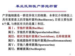 致病菌的检验8-革兰氏阳性产芽孢杆菌(简要)医学课件.ppt