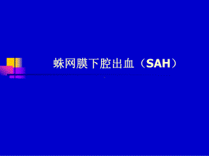 蛛网膜下腔出血(SAH)课件.ppt