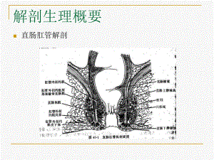 直肠肛管疾病课件2.pptx