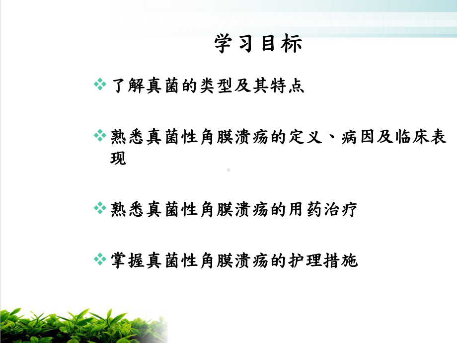 真菌性角膜溃疡的护理课件.ppt_第3页