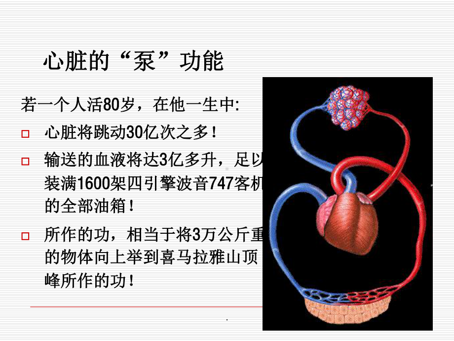 病理生理学-心力衰竭课件.ppt_第2页