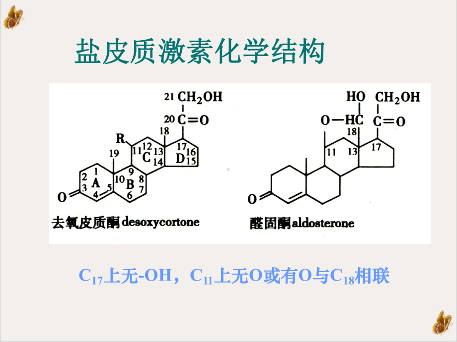 皮质激素类药物课件.pptx_第3页