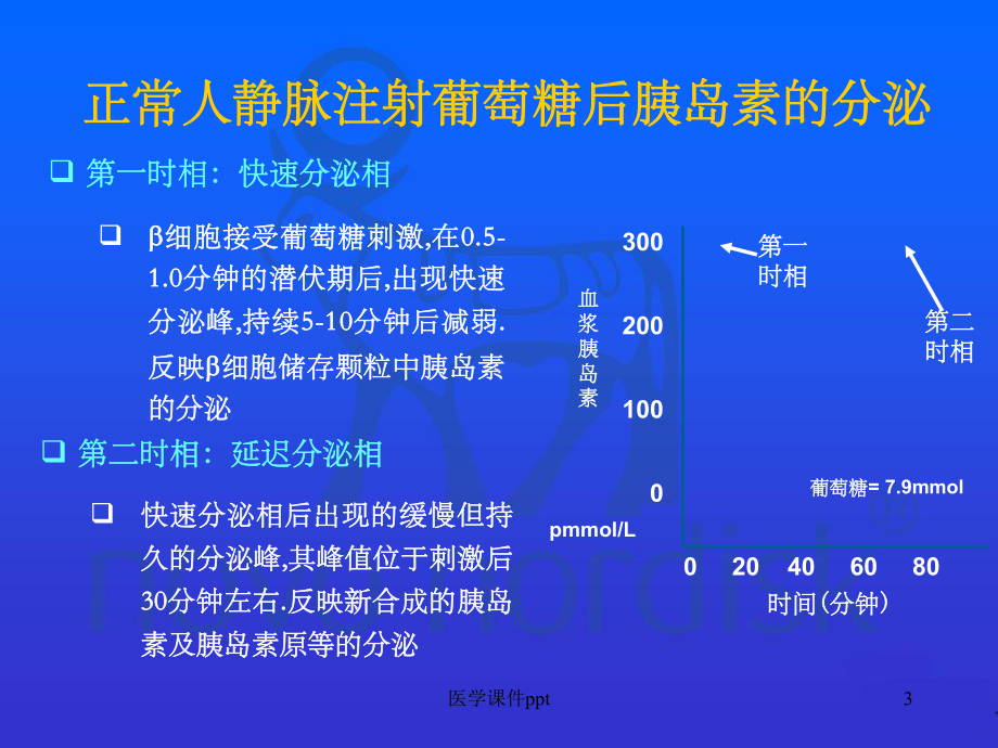 胰岛素的生理性治疗方案.ppt_第3页