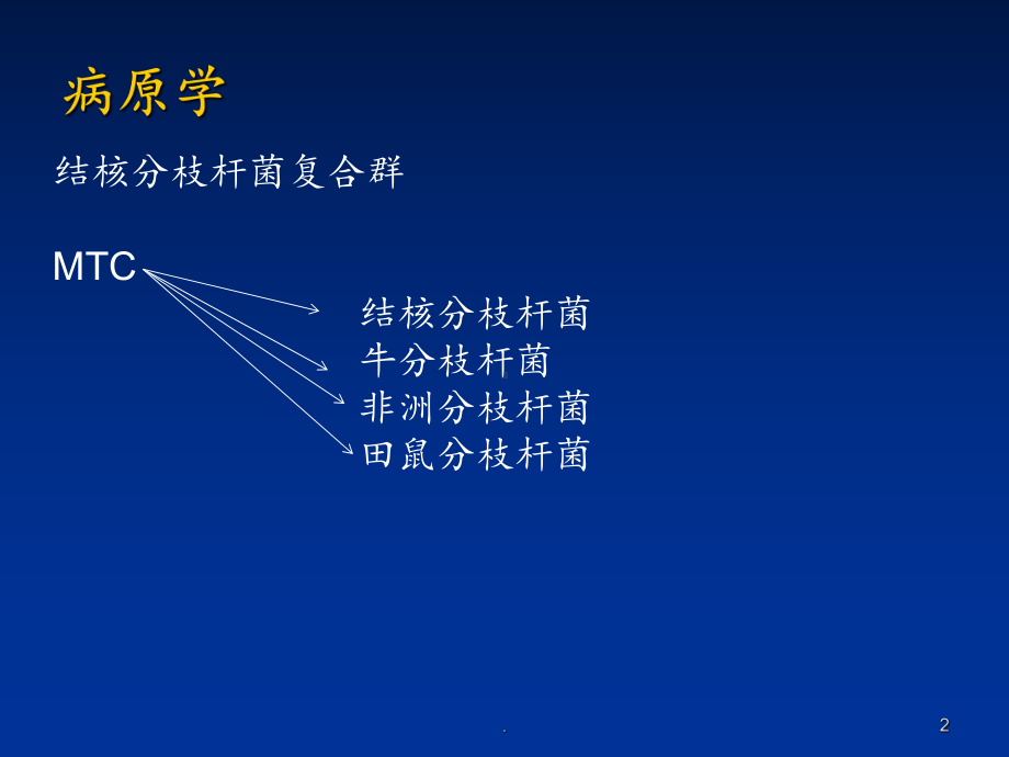 肺结核的诊断与治疗2课件.ppt_第2页