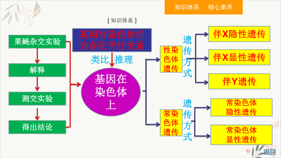 基因在染色体上和伴性遗传教学课件2021届高考生物一轮复习.pptx_第3页