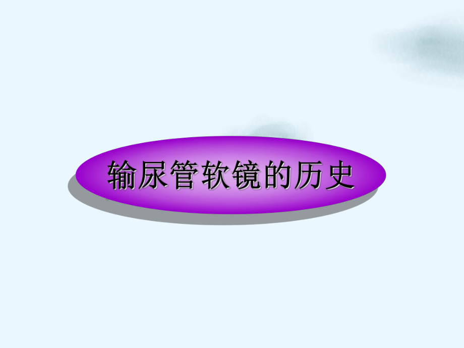 输尿管软镜及其应用讲课课件.ppt_第2页