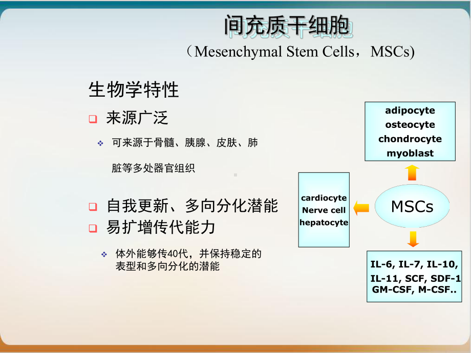 间充质干细胞的临床应用心得培训课件.ppt_第3页