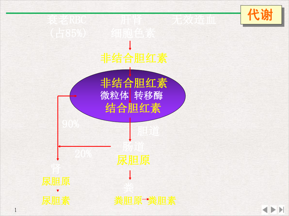 黄疸的鉴别诊断及处理课件.pptx_第2页