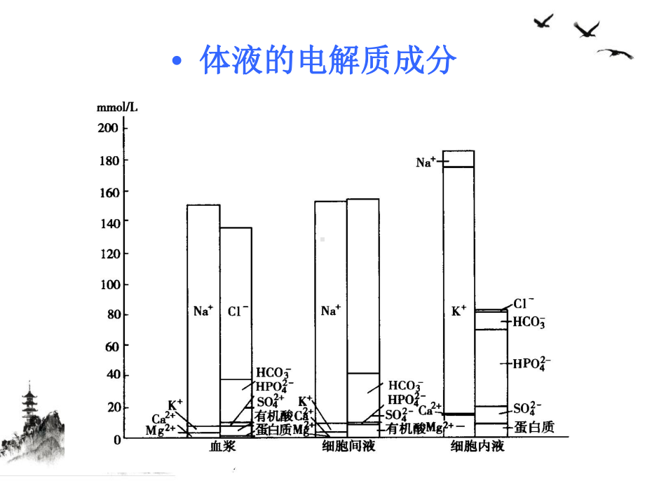 重症病人内环境紊乱的诊治课件.pptx_第3页