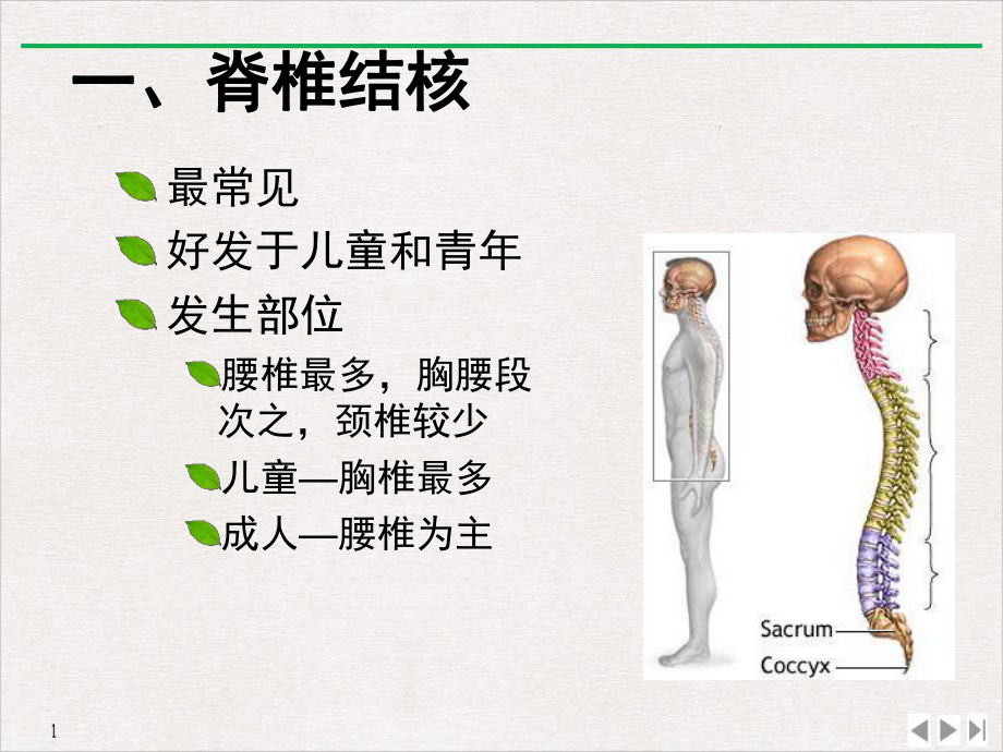 骨关节结核课件整理.ppt_第3页