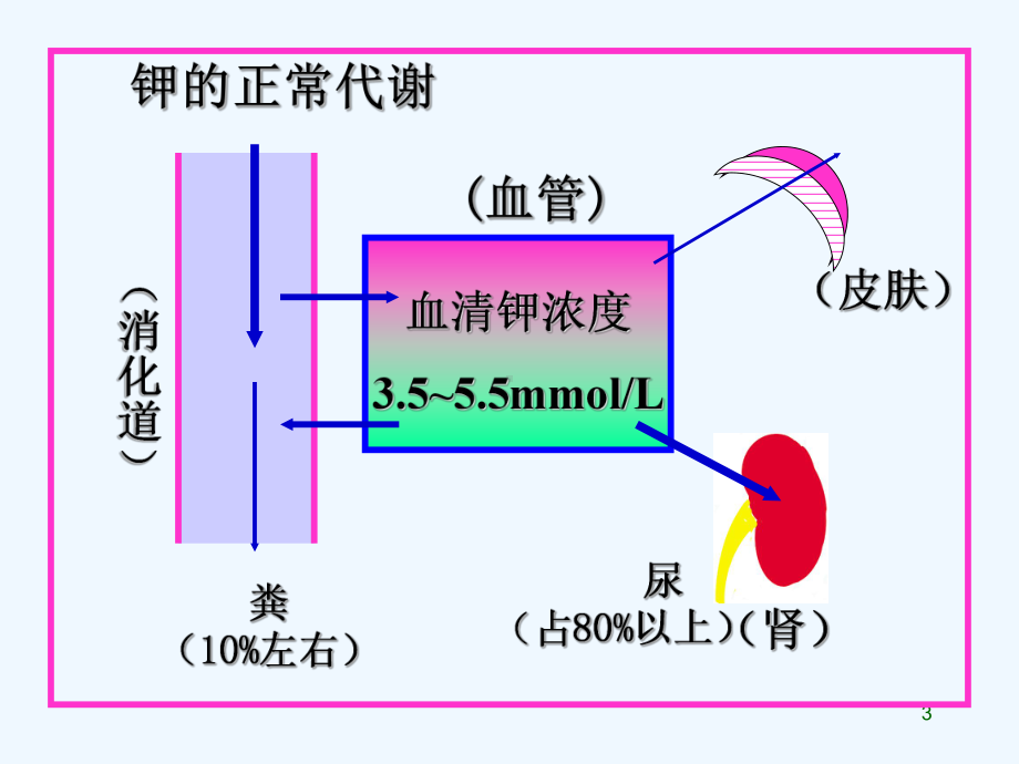 高钾与低钾的护理-课件.ppt_第3页